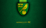 Norwich Banner.png