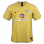 PNE AWAY KIT.png