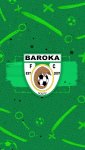 ecusson baroka.jpg