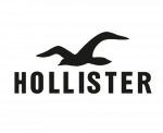HOLLISTER ONE DONE.png