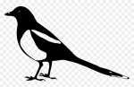 410-4106243_magpie-silhouette-hd-png-download.png