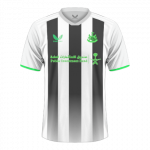 Newcastle home.png