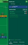 Wingbacks.JPG