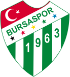 Bursaspor_logo.svg.png