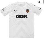 Third Kit.jpeg