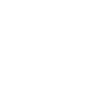 citroen-logo.webp