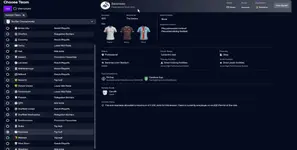 swansswanprefm26 (1).webp