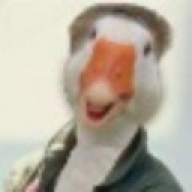 branta