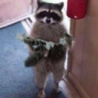 PandaLaBlin