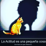 azuliinho