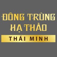 dongtrunghathaothaiminh