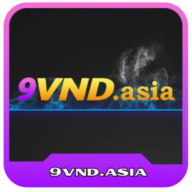 9vndasia