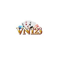 vn123link
