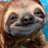 cainisasloth